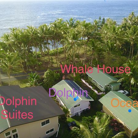 Whale House At Kehena Beach Pahoa Buitenkant foto