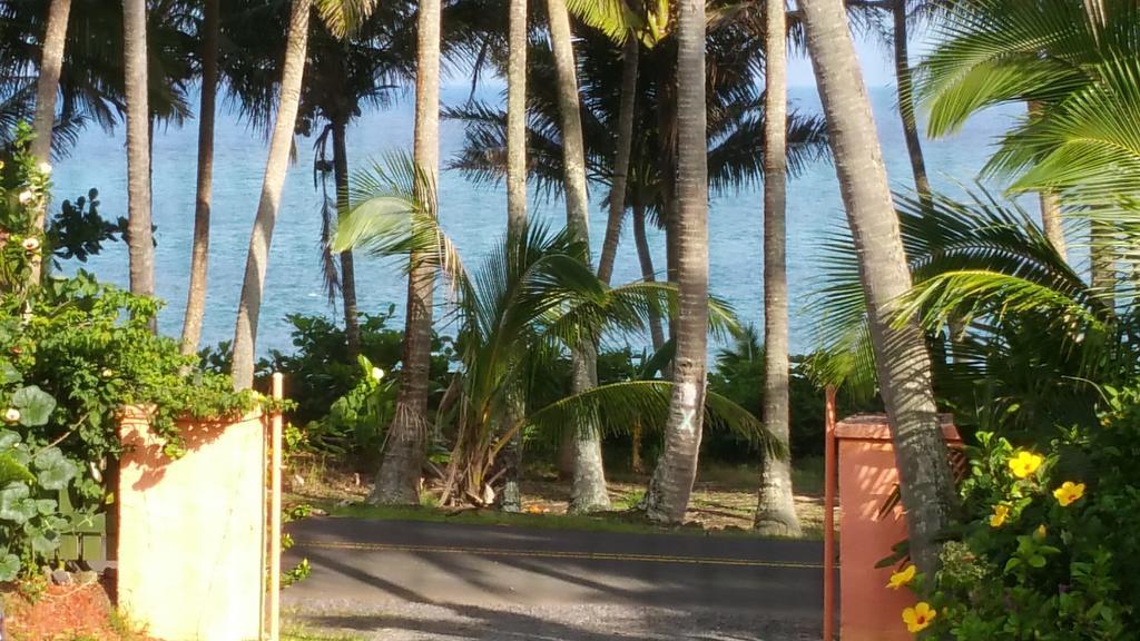 Whale House At Kehena Beach Pahoa Kamer foto