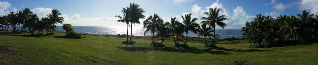Whale House At Kehena Beach Pahoa Kamer foto