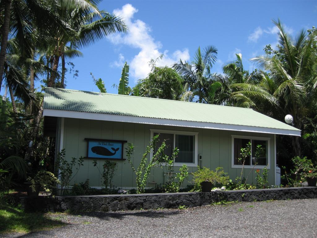 Whale House At Kehena Beach Pahoa Kamer foto