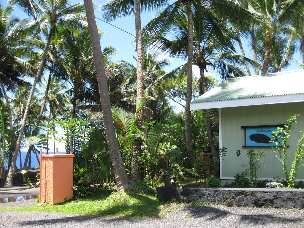 Whale House At Kehena Beach Pahoa Kamer foto