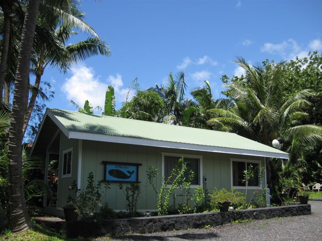 Whale House At Kehena Beach Pahoa Kamer foto