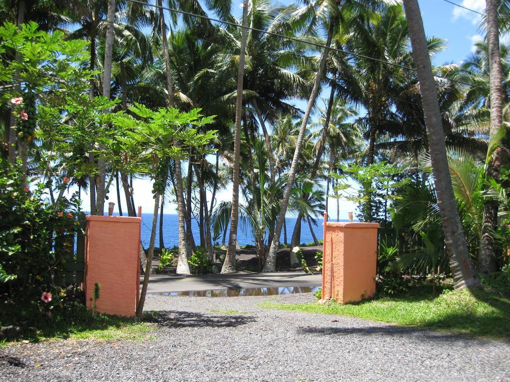 Whale House At Kehena Beach Pahoa Kamer foto