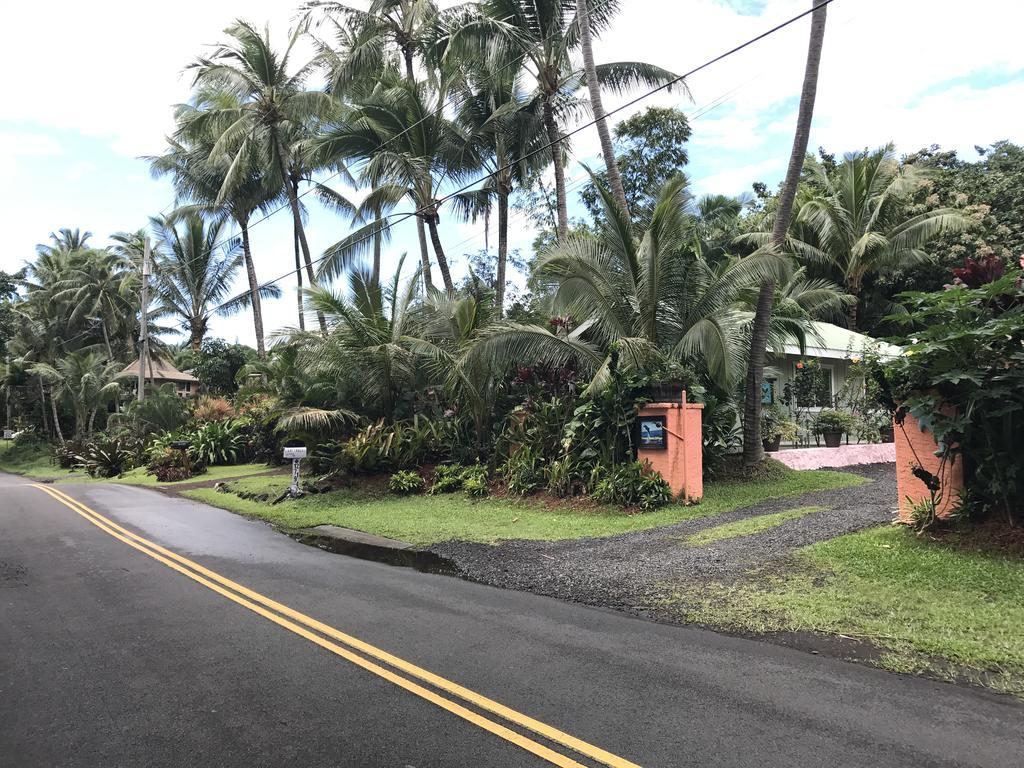 Whale House At Kehena Beach Pahoa Buitenkant foto