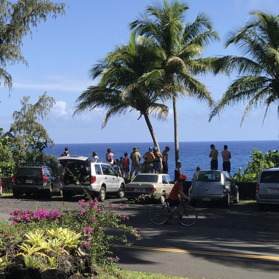 Whale House At Kehena Beach Pahoa Buitenkant foto