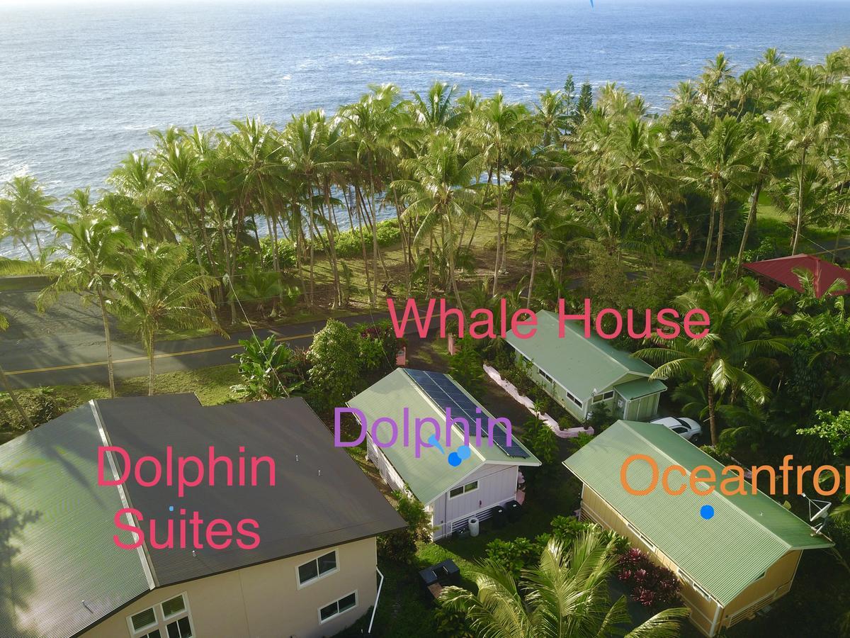 Whale House At Kehena Beach Pahoa Buitenkant foto