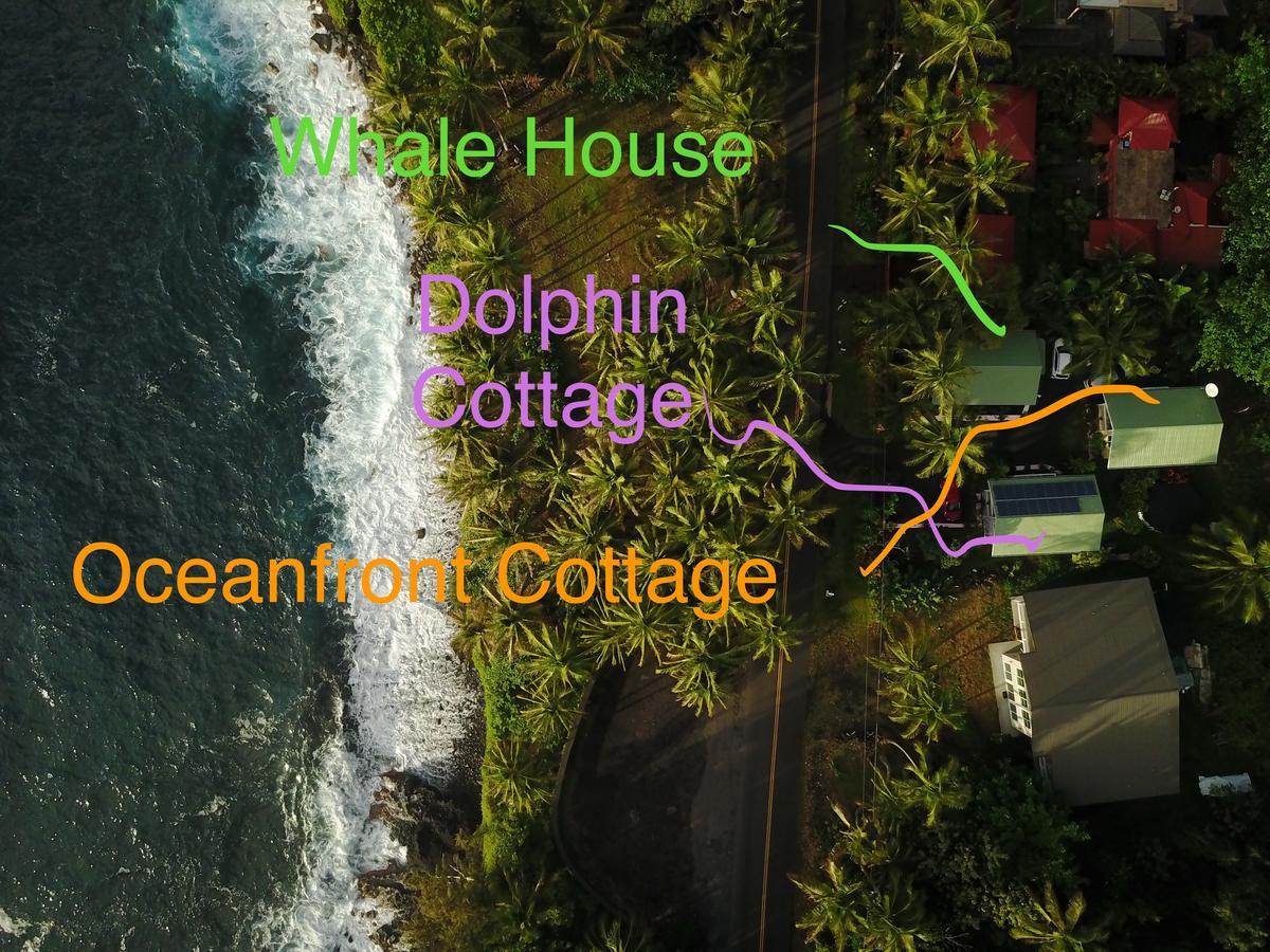 Whale House At Kehena Beach Pahoa Buitenkant foto